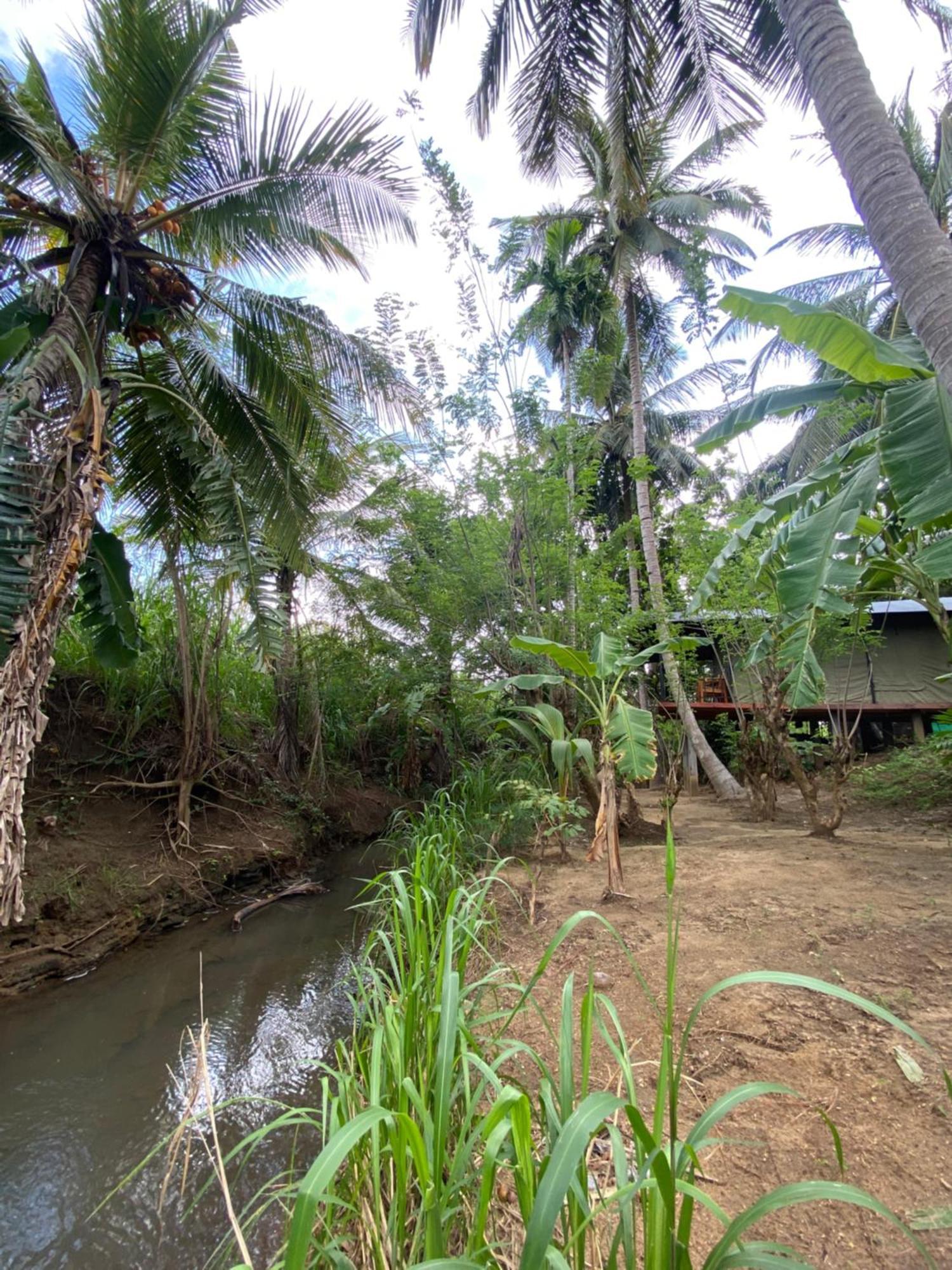 Coconut Camp Udawalawe Dematapelessa Esterno foto